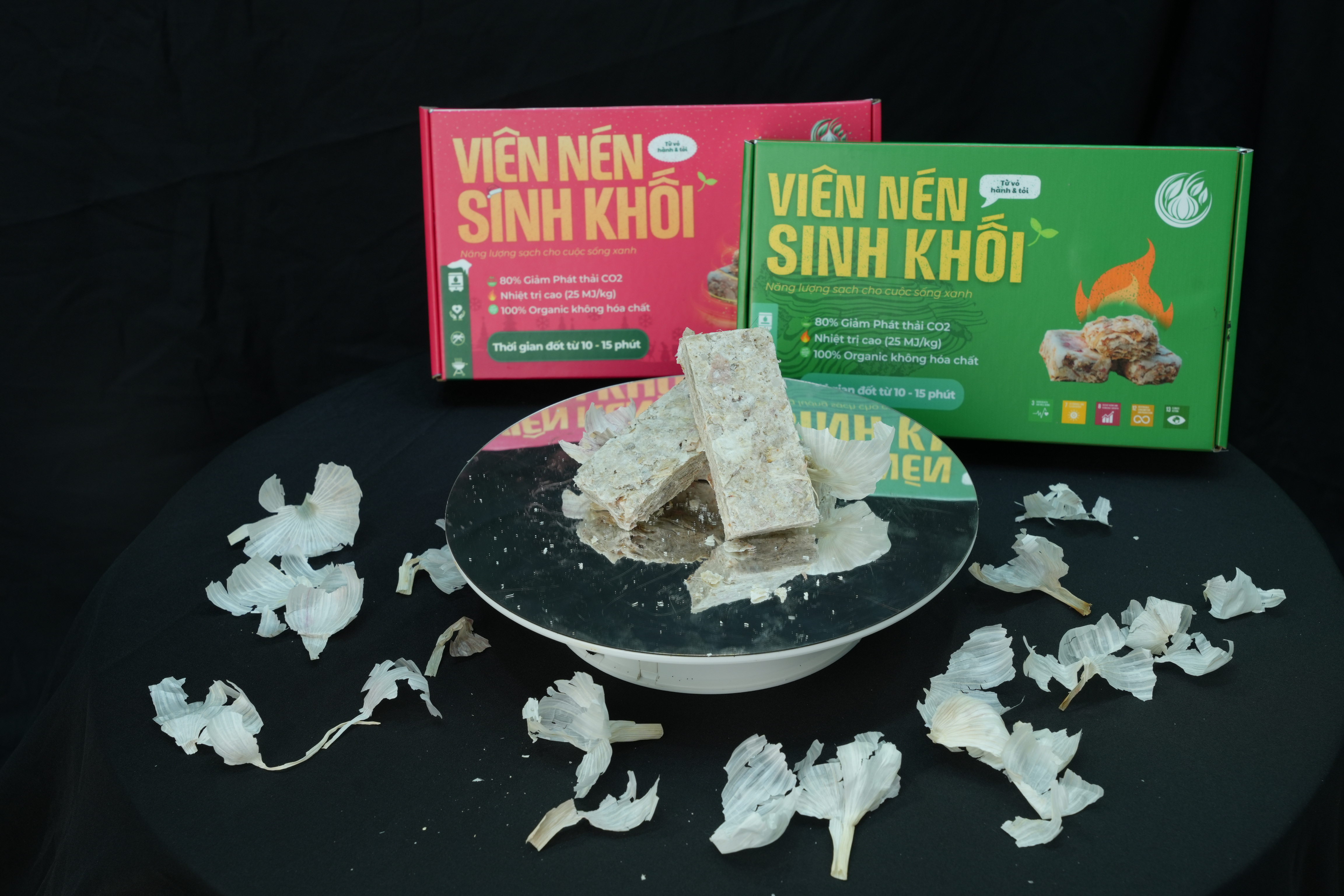 nhom-sinh-vien-lam-than-nen-tu-vo-toi-dau-tien-tren-the-gioi-1742486375 Nhóm sinh viên làm than nén từ vỏ tỏi 'đầu tiên trên thế giới'